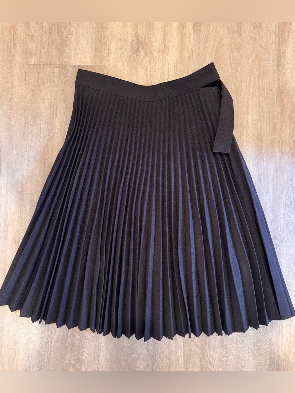 Balenciaga Black Pleated Circle Skirt